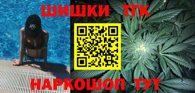 индика Жуковский