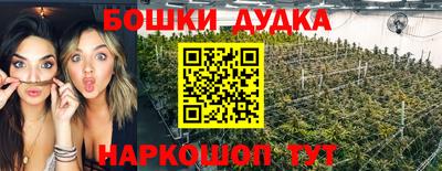 индика Жуковский