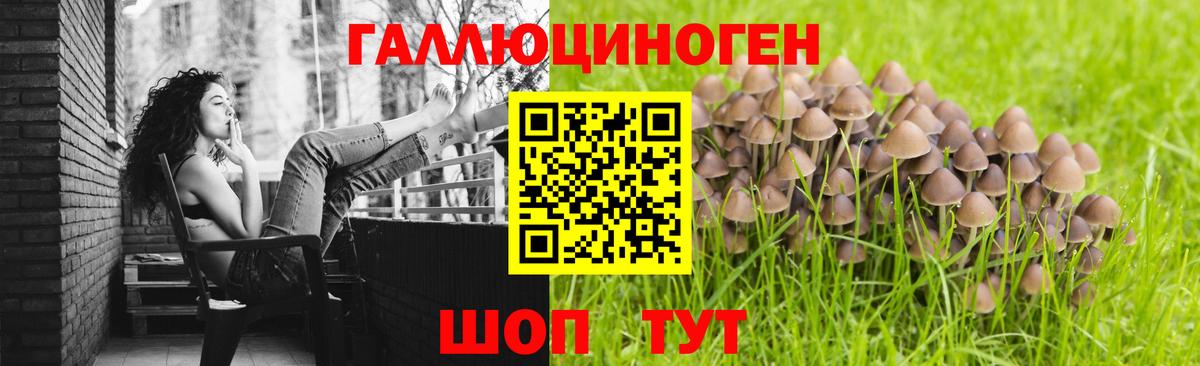 Владимир  Псилоцибиновые грибы Psilocybine cubensis  Вход с VPN 