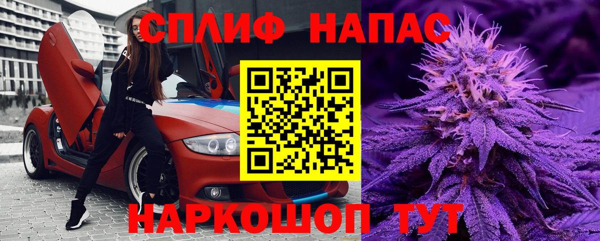 Конопля план Владимир